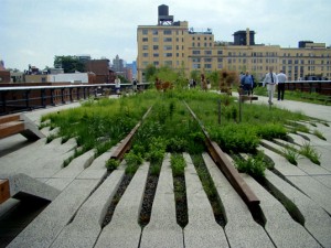 The NYC Highline