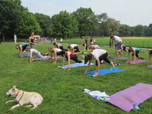 Yoga in Central Park
