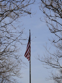 Flag by the Statue of Liberty