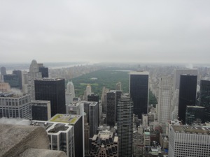 View from Top of the Rock. Photo attribution: Fanny Littmarck