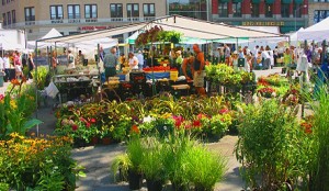 ny_union_square_greenmarket_farmers_market