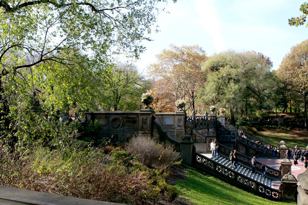 Photo Journal - Central Park - View