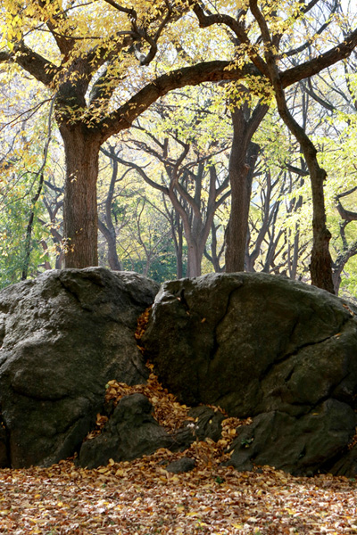 Photo Journal - Central Park - Walking and Talking