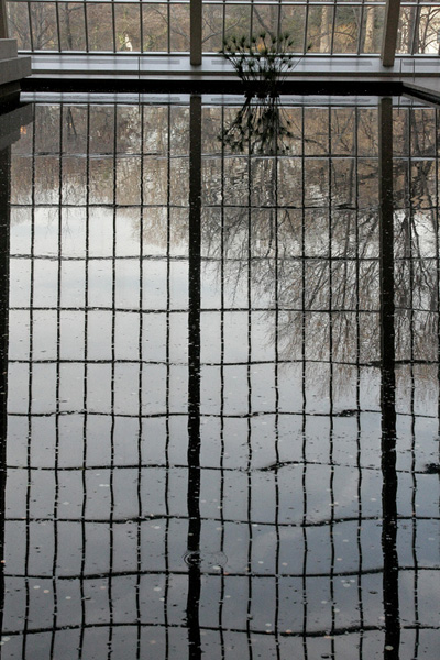 Photo Journal - Met Museum - Windows