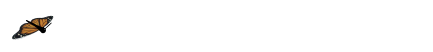 buttterfly